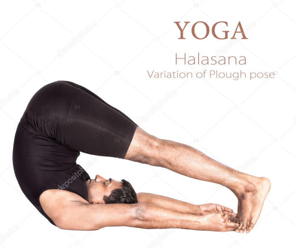 HALASANA